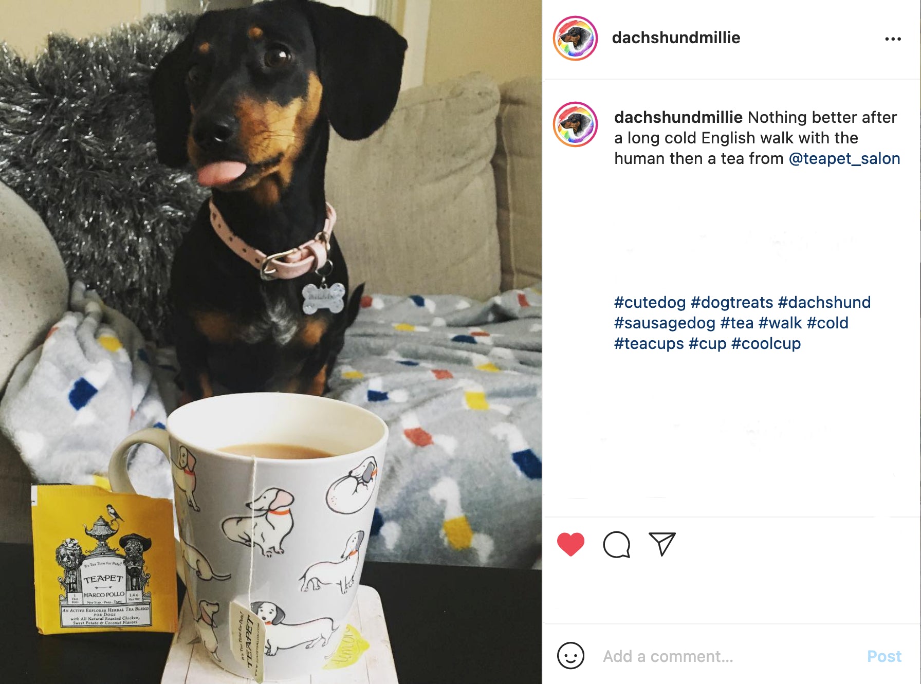 Cup of tea for dogs top
