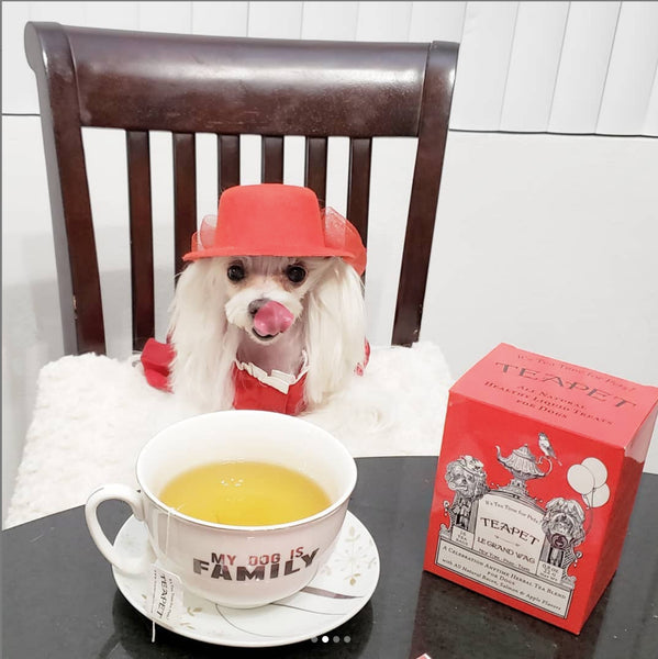  Le Grand Wag by Teapet - Energizing Rooibos Herbal Tea for Dogs -