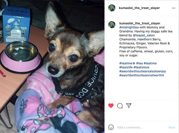 RUFF DAY : Soothing Nerve Calming Herbal Tea for Dogs