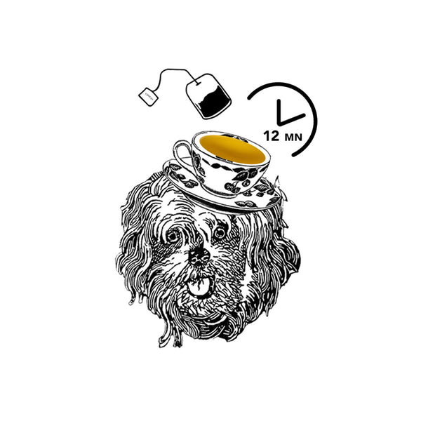 Tea for Dogs Drink for Dogs  Teapet Hebal Tea for Dogs Healthy Dogs Love Teapet